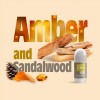 SALT OF THE EARTH NATURAL REFILLABLE ROLL-ON DEODORANT AMBER & SANDALWOOD 75ml