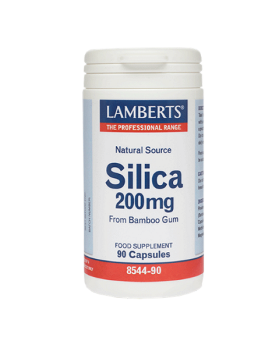 LAMBERTS SILICA 200mg 90caps