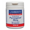 LAMBERTS PYCNOGENOL 40mg 60caps