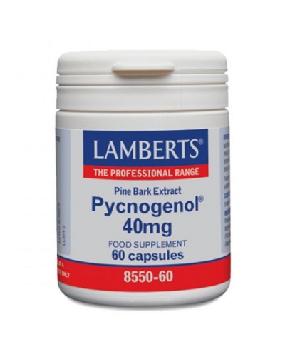 LAMBERTS PYCNOGENOL 40mg 60caps