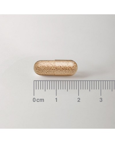 LAMBERTS SACCHAROMYCES BOULARDII 300mg 30caps