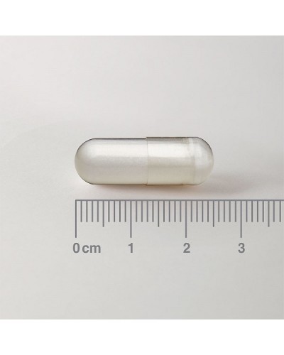 LAMBERTS L-HISTIDINE HCI 500mg 30caps