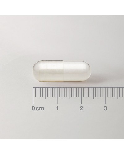 LAMBERTS L-TYROSINE 500mg 60caps