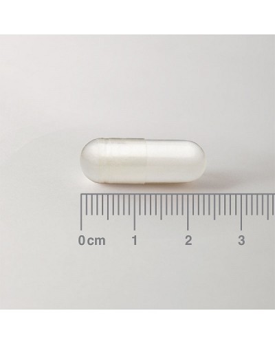 LAMBERTS L-PHENYLALANINE 500mg 60caps