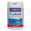 LAMBERTS MAGASORB POWDER 165g