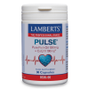 LAMBERTS PULSE PURE FISH OIL 1300mg WITH COQ10 100mg 90caps