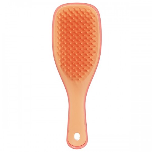 TANGLE TEEZER THE MINI ULTIMATE DETANGLER SALMON PINK & APRICOT ΒΟΥΡΤΣΑ ΜΑΛΛΙΩΝ 1τμχ