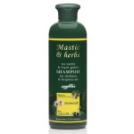 ANEMOS MASTIC & HERBS KIDS ΠΑΙΔΙΚΟ ΣΑΜΠΟΥΑΝ ΓΙΑ ΣΥΧΝΗ ΧΡΗΣΗ 300ml