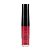 LAVISH CARE MATTE LIQUID LIPCOLOR No 16 6ml