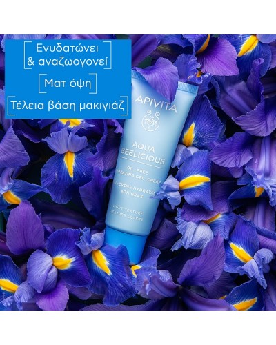 APIVITA AQUA BEELICIOUS OIL-FREE ΚΡΕΜΑ GEL ΕΝΥΔΑΤΩΣΗΣ  ΕΛΑΦΡΙΑΣ ΥΦΗΣ ΜΕ ΛΟΥΛΟΥΔΙΑ & ΜΕΛΙ 40ml