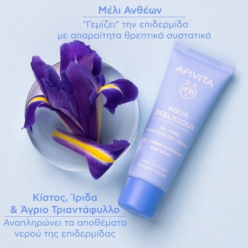 APIVITA AQUA BEELICIOUS OIL-FREE ΚΡΕΜΑ GEL ΕΝΥΔΑΤΩΣΗΣ  ΕΛΑΦΡΙΑΣ ΥΦΗΣ ΜΕ ΛΟΥΛΟΥΔΙΑ & ΜΕΛΙ 40ml