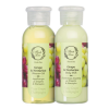 FRESH LINE PROMO GRAPE & NECTARINE SHOWER GEL 100ml & BODY MILK 100ml