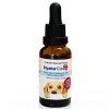 ABC KINITRON HYALURON PET 30ml