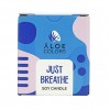 ALOE+COLORS SOY CANDLE JUST BREATHE 150g