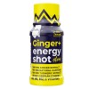 PULS NUTRITION ENERGY SHOT  GINGER+ CITRUS 60ml