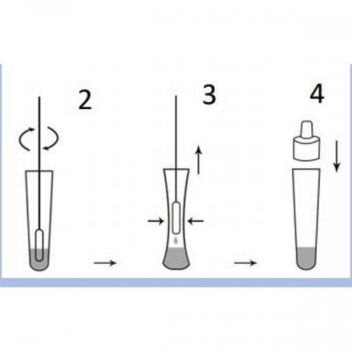 LUNGENE COVID-19 RAPID TEST ΔΙΑΓΝΩΣΤΙΚΟ ΤΕΣΤ ΤΑΧΕΙΑΣ ΑΝΙΧΝΕΥΣΗΣ ΑΝΤΙΓΟΝΩΝ ΜΕ ΔΕΙΓΜΑ ΣΑΛΙΟΥ & ΡΙΝΙΚΟ 1 TEST