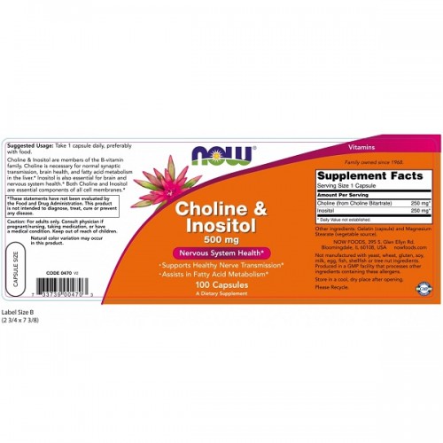 NOW CHOLINE & INOSITOL 500mg 100caps