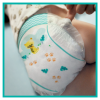 PAMPERS ACTIVE BABY No.5 (11kg - 16kg) 38τμχ 